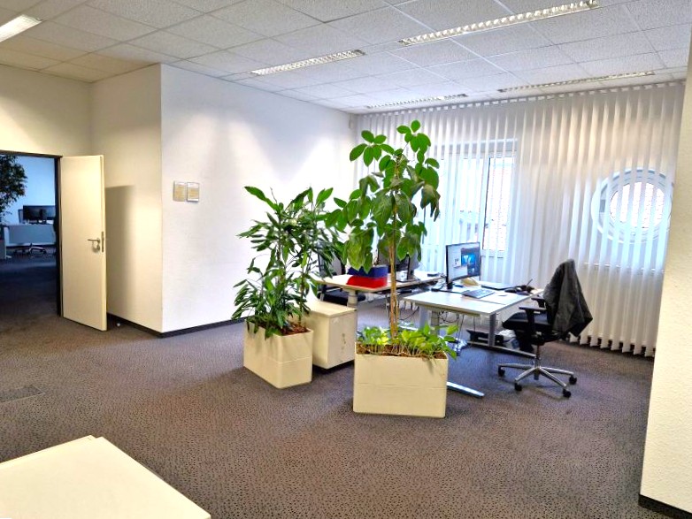 Blick 2 in das Großraumbüro Süd